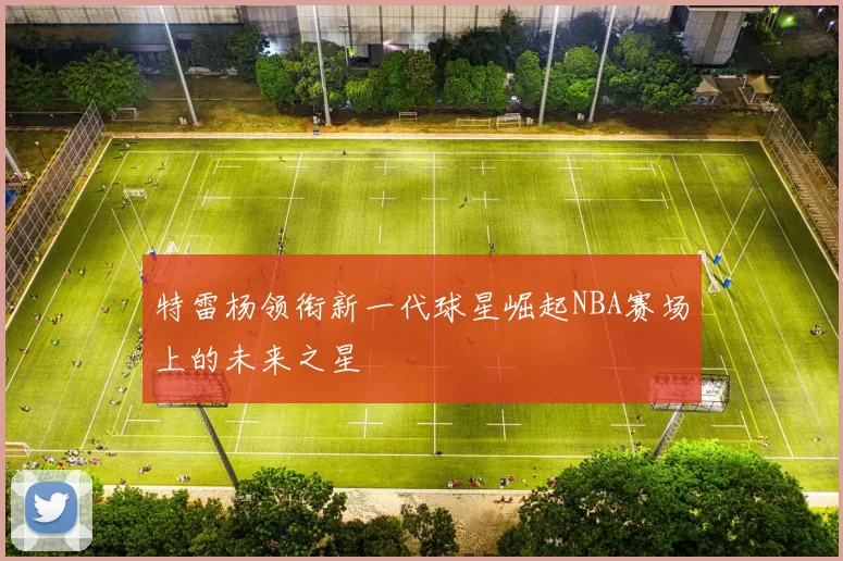 特雷杨领衔新一代球星崛起NBA赛场上的未来之星