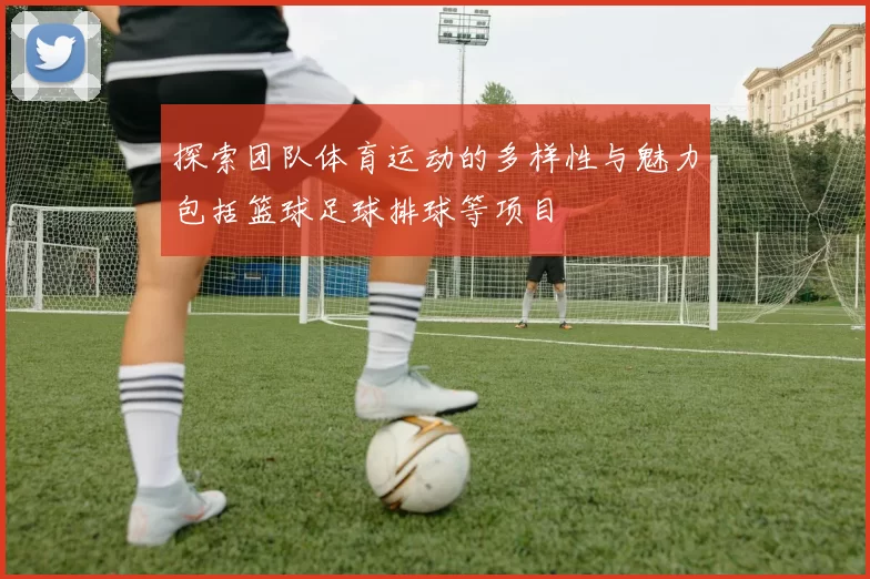 探索团队体育运动的多样性与魅力包括篮球足球排球等项目