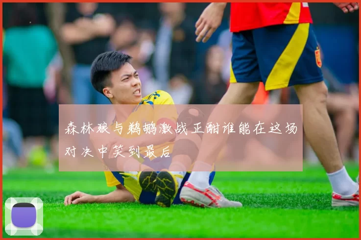 森林狼与鹈鹕激战正酣谁能在这场对决中笑到最后